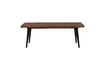 Miniatuur Alagon Bench 120 centimeter 15