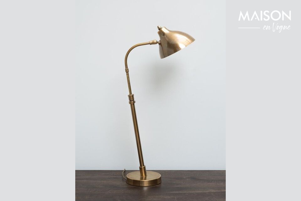 Kies voor elegantie en functionaliteit met deze oogverblindende lamp.