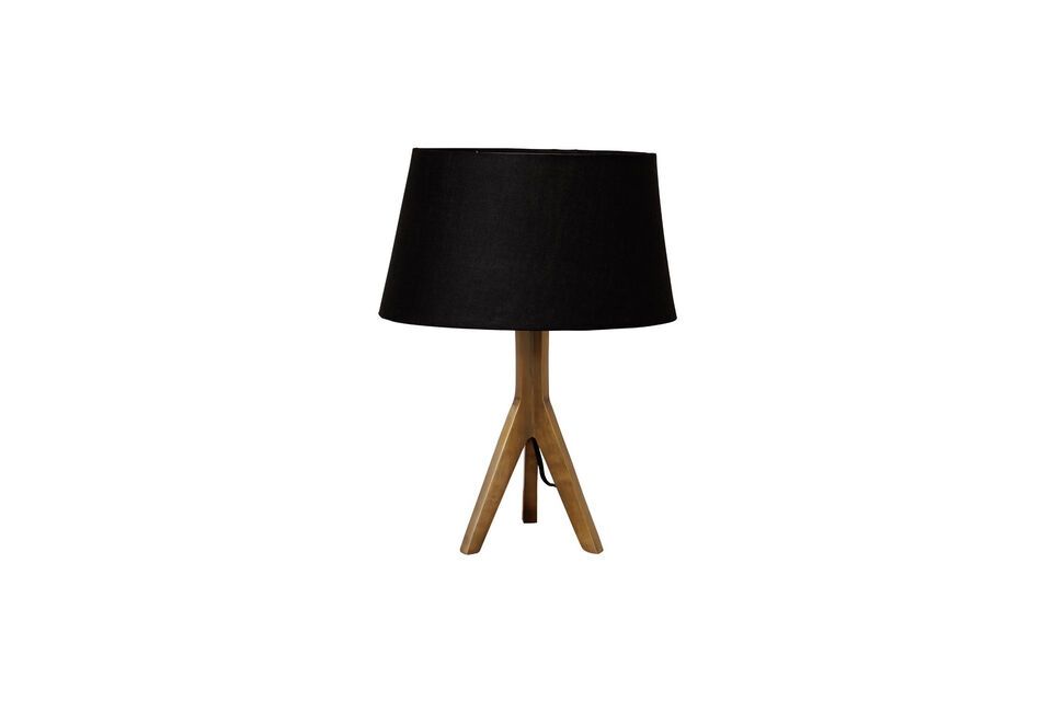 Deze lamp is voornamelijk gemaakt van ijzer en is niet alleen esthetisch mooi