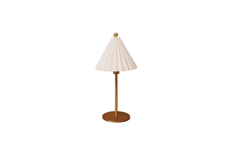 Deze lamp is gemaakt van ijzer en combineert duurzaamheid en stijl