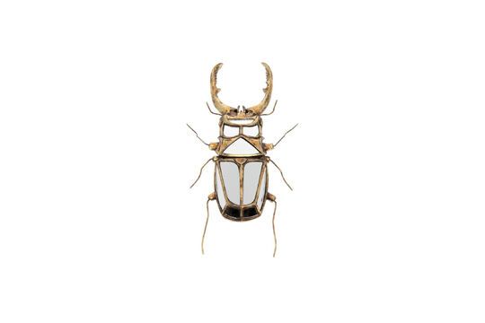 Gouden wandbeeldje van insectenhars Spiegels Productfoto