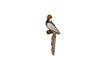 Miniatuur Hars gouden vogelspiegel Links 1