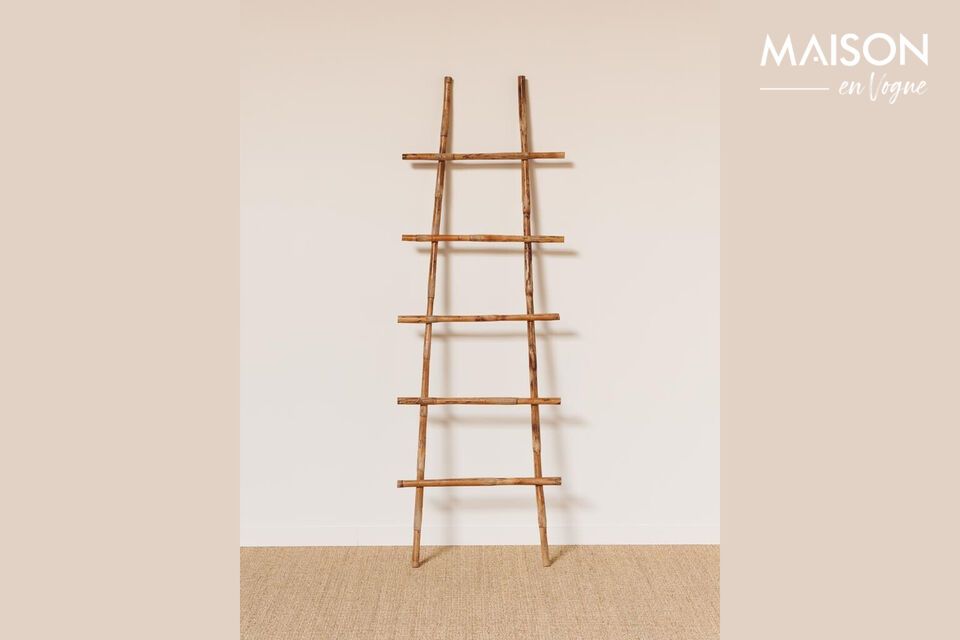 Ontdek de essentie van stijl en functionaliteit met onze bruine rotan ladder