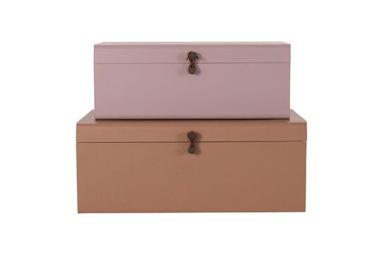 Set van 2 beige en roze metalen blikken