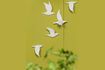 Miniatuur Set van 5 Biscuit witte porseleinen vogel wanddecoraties 2