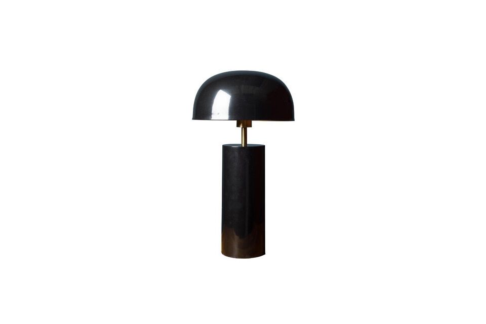 Moderne, praktische zwarte lamp voor elk interieur.