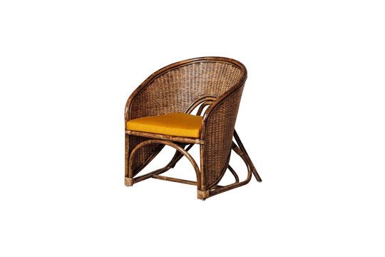 Veracruz bruin rotan fauteuil Productfoto